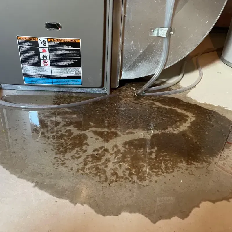 Appliance Leak Cleanup in Long Beach, IN